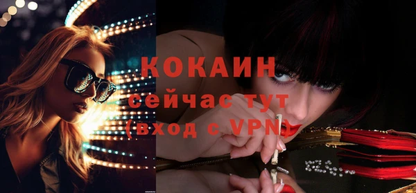 прущая мука Арсеньев