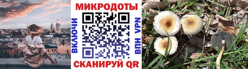 Псилоцибиновые грибы мицелий  Старая Купавна 